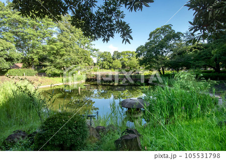 東京都品川区豊町の文庫の森 東京都品川区豊町の文庫の森 105531798