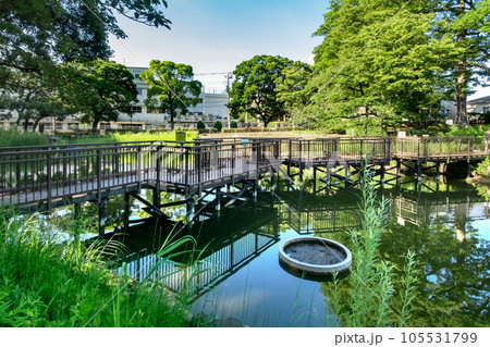 東京都品川区豊町の文庫の森 105531799
