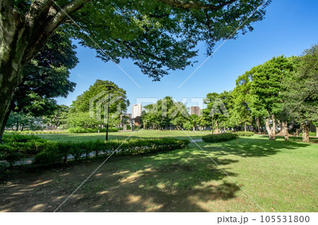 東京都品川区豊町の文庫の森 東京都品川区豊町の文庫の森 105531800