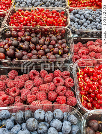 Variety of summer berries - raspberries, red currants, gooseberries and blueberries Variety of summer berries - raspberries, red currants, gooseberries and blueberries 105532658