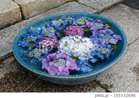 水瓶に浮かぶ紫陽花 水瓶に浮かぶ紫陽花 105532698