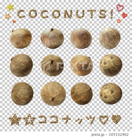 ココナッツの果実を様々な角度から見た背景透過済み写真素材 105532902
