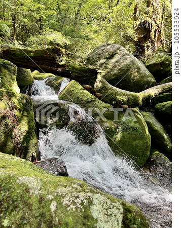 苔むした岩と川 105533024