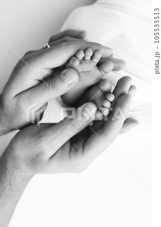 The palms of the father, the mother are holding the foot of the newborn baby on white background. The palms of the father, the mother are holding the foot of the newborn baby on white background. 105533513