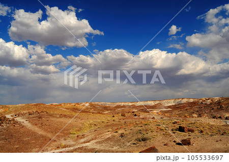 Rugged and Desolate Landscape Petrified Forest Arizona 105533697