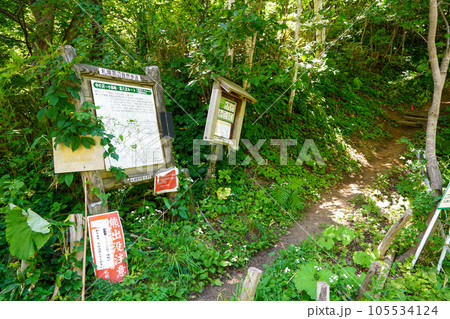 札幌周辺自然遊歩道・こばやし峠入口 105534124