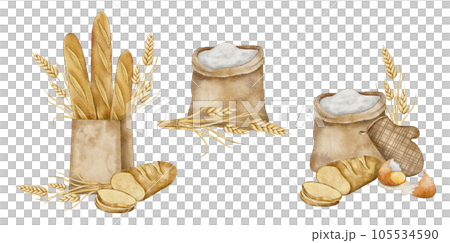 Set of flour sack, Crispy French baguettes in craft bag with bunch of spikelets of wheat, rye, grains and sliced fresh bread. Hand drawn watercolor illustration for bakery 105534590