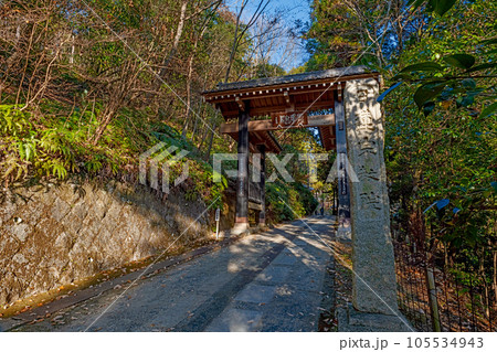京都山科 本圀寺の参道風景 京都山科 本圀寺の参道風景 105534943