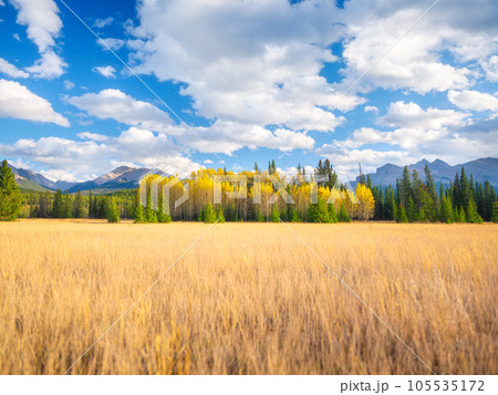 Mountain landscape. Sunbeams in a valley. Field and forest in a mountain valley.  105535172