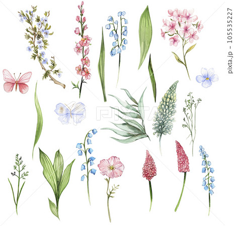 Wildflowers set. Watercolor hand drawn illustration for cards, backgrounds, scrapbooking. Perfect for wedding invitation. 105535227