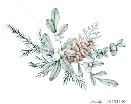 Christmas bouquet of snowberry and emerald eucalyptus, spruce branch, pine cone, fir, cedar. Hand painted watercolor botanical illustration for wedding invitation, card. Christmas bouquet of snowberry and emerald eucalyptus, spruce branch, pine cone, fir, cedar. Hand painted watercolor botanical illustration for wedding invitation, card. 105535404