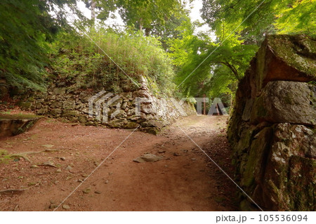 安土城 天守台跡の石垣と本丸御殿跡へ続く道 105536094
