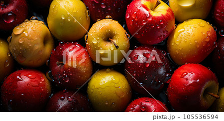 Fresh apple banner. Apples background. Close-up food photography 105536594
