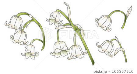 Cute hand drawn isolated grey outline with color plane of lily of the valley branch (Vol.4) 105537310