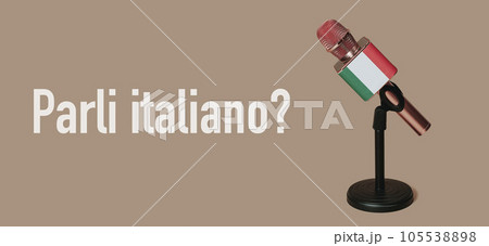 question do you speak italian, banner format question do you speak italian, banner format 105538898