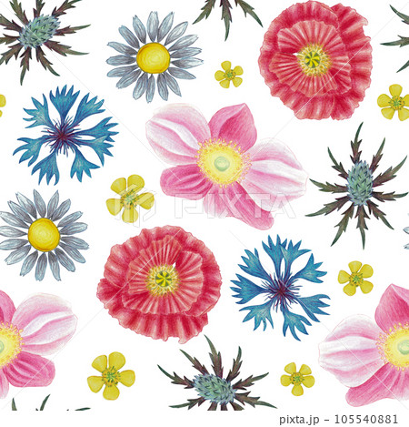 Field flowers seamless pattern with poppy, camomile, cornflower, eryngium, ranunculus, anemone flower. Hand drawn illustration isolated on white for wallpaper, wrapping paper, banners, background Field flowers seamless pattern with poppy, camomile, cornflower, eryngium, ranunculus, anemone flower. Hand drawn illustration isolated on white for wallpaper, wrapping paper, banners, background 105540881