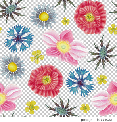 Field flowers seamless pattern with poppy, camomile, cornflower, eryngium, ranunculus, anemone flower. Hand drawn illustration isolated on white for wallpaper, wrapping paper, banners, background Field flowers seamless pattern with poppy, camomile, cornflower, eryngium, ranunculus, anemone flower. Hand drawn illustration isolated on white for wallpaper, wrapping paper, banners, background 105540881
