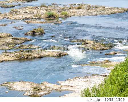 夏(7月)の加古川(兵庫県西脇市内)。 105541506
