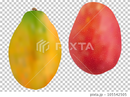 「パパイヤ (パパイア)」と「マンゴー」二個  縦向き 105542505
