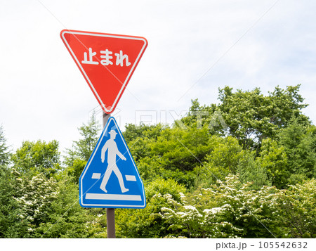 道路標識。規制標識「一時停止」と指示標識「横断歩道」。 105542632