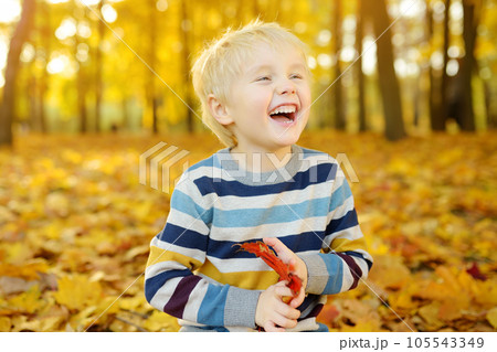 Close up portrait of happy little boy during stroll in the forest at sunny autumn day 105543349