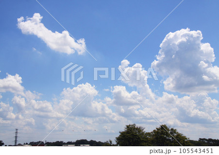 サンパウロ州の夏の雲と青空 ブラジル サンパウロ州の夏の雲と青空 ブラジル 105543451