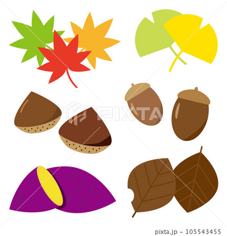 秋の紅葉と秋の味覚のイラストセット 105543455