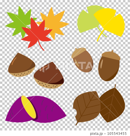 Illustration set of autumn leaves and autumn taste 105543455