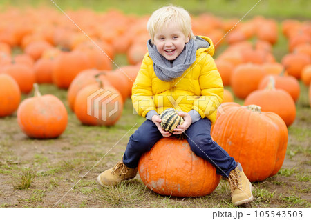 Little boy on a pumpkin farm at autumn. Preschooler child a sitting on huge pumpkin 105543503