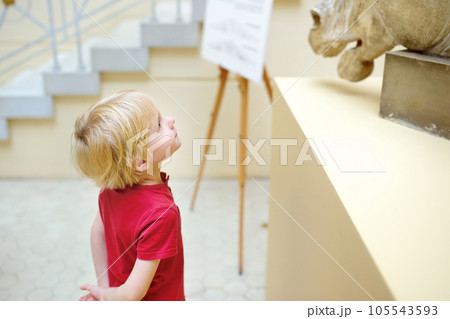 Little boy looking at sculpture of horse's head. 105543593