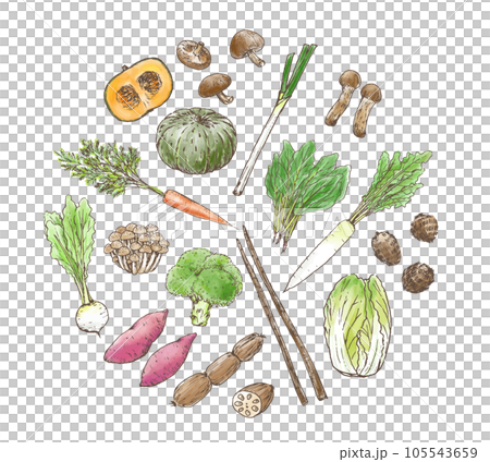 秋冬蔬菜套圈設計手繪插畫矢量 105543659