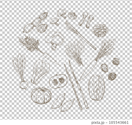 秋冬蔬菜套裝圓形設計手繪鋼筆繪圖矢量 105543661