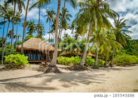View of Haad Tien Beach resort in shark bay, koh Tao, Thailand View of Haad Tien Beach resort in shark bay, koh Tao, Thailand 105543886