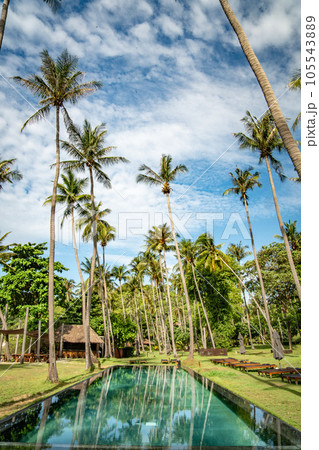 View of Haad Tien Beach resort in shark bay, koh Tao, Thailand View of Haad Tien Beach resort in shark bay, koh Tao, Thailand 105543889
