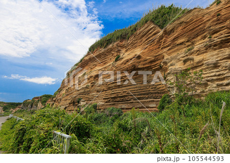 屛風ヶ浦の地層 屛風ヶ浦の地層 105544593