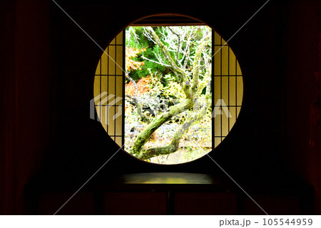 京都市東山区 雲龍院 105544959