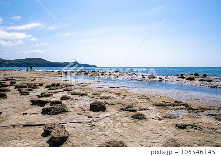 石見畳ヶ浦のノジュール（団塊）と日本海　島根県浜田市 105546145