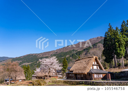 富山県五箇山 桜咲く春の相倉合掌造り集落 富山県五箇山 桜咲く春の相倉合掌造り集落 105546758