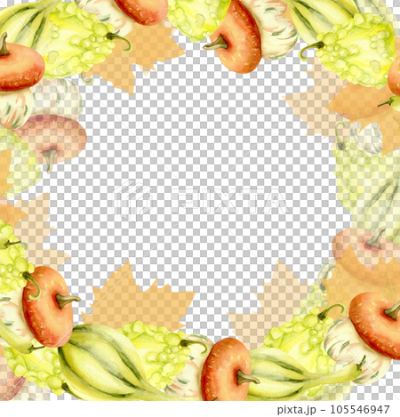 Watercolor pumpkin composition, orange,green and yellow pumpkins. Harvest illustration isolated 105546947