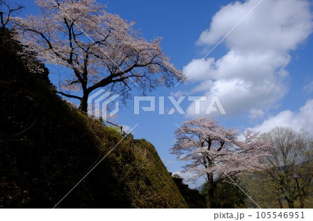 青空と断崖の桜　【相模原市津久井　3月】 105546951