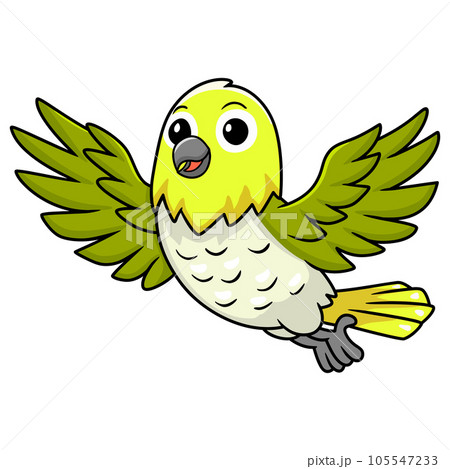 Cute warbling white eye bird cartoon flying Cute warbling white eye bird cartoon flying 105547233