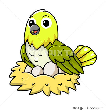 Cute warbling white eye bird cartoon with eggs in the nest Cute warbling white eye bird cartoon with eggs in the nest 105547237