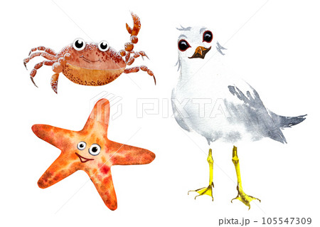 Watercolor illustration of a cartoon seagull, crab and starfish. A seagull , a crab and a star on the beach,drawing Watercolor illustration of a cartoon seagull, crab and starfish. A seagull , a crab and a star on the beach,drawing 105547309