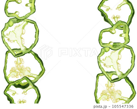 手描き水彩の輪切りピーマンイラスト長方形フレーム・左右 105547336