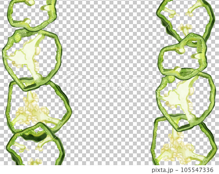 Hand-painted watercolor sliced bell pepper illustration rectangular frame left and right Hand-painted watercolor sliced bell pepper illustration rectangular frame left and right 105547336