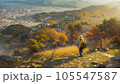 大文字山から京都の街を眺望する！ 105547587