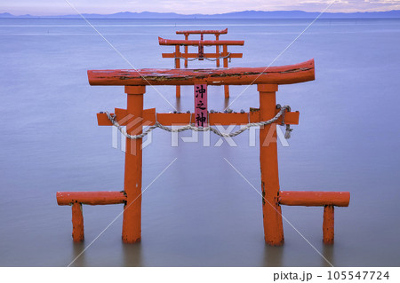 有明海の神秘的な風景　大魚神社の海中鳥居　（佐賀県） 105547724