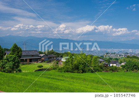 中野の棚田　夏の田園風景　南アルプス市 105547746
