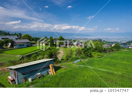 中野の棚田　夏の田園風景　南アルプス市 105547747