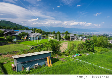 中野の棚田　夏の田園風景　南アルプス市 105547748